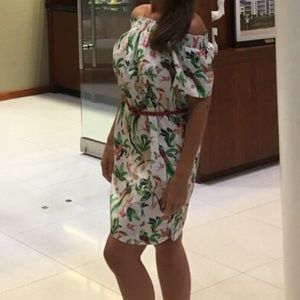 Ann Taylor women ladies summer dress birds